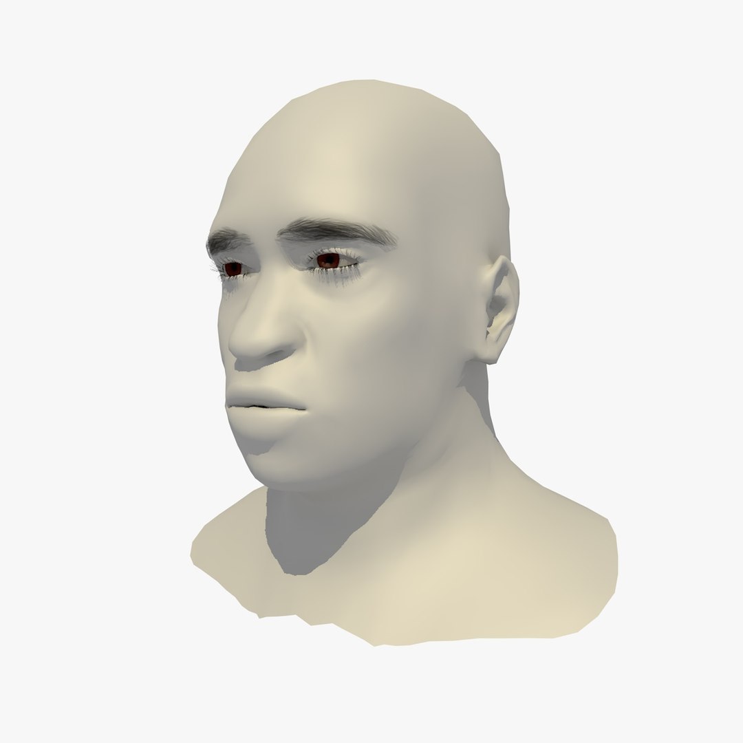 realistic head 45 year 3D model https://p.turbosquid.com/ts-thumb/6i/dWCBRS/LmfF4S1C/45yrmidageafricanmanhead1_0001/jpg/1566350140/1920x1080/fit_q87/c4a9c275dd679ce4c0bd146fb65961eb7aaa1d55/45yrmidageafricanmanhead1_0001.jpg