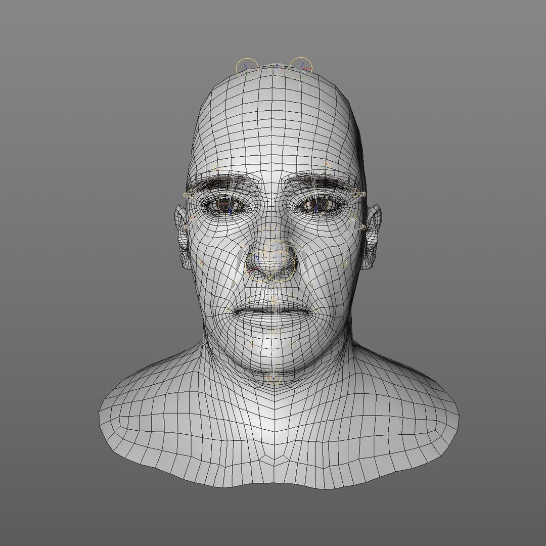 realistic head 45 year 3D model https://p.turbosquid.com/ts-thumb/6i/dWCBRS/M42pc8jx/45yrmidageeuroman2_0000/jpg/1566350265/1920x1080/fit_q87/a4e7771d3c93bc52352b025aa2a52fe3fe2a5ae9/45yrmidageeuroman2_0000.jpg
