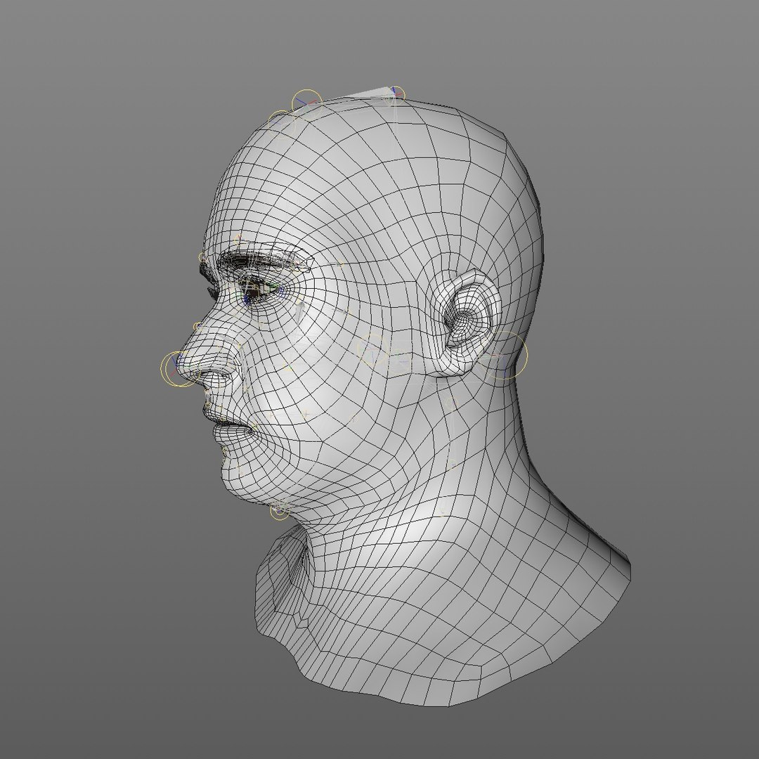 realistic head 45 year 3D model https://p.turbosquid.com/ts-thumb/6i/dWCBRS/MEY83u8e/45yrmidageeuroman2_0002/jpg/1566350266/1920x1080/fit_q87/a2317f6a298fe496c5670cdef7819d9de9061ac1/45yrmidageeuroman2_0002.jpg