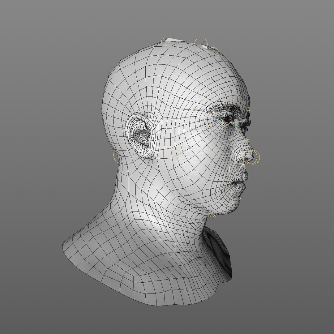 realistic head 45 year 3D model https://p.turbosquid.com/ts-thumb/6i/dWCBRS/MmuKyHmN/45yrmidageasianmanhead2_0010/jpg/1566350210/1920x1080/fit_q87/8a850baeacea3d000a793ad4c1f12e03d862392d/45yrmidageasianmanhead2_0010.jpg