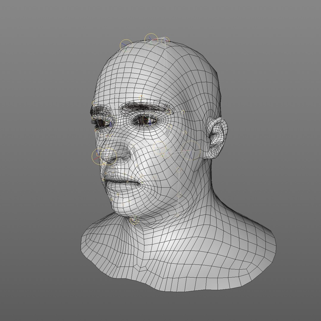 realistic head 45 year 3D model https://p.turbosquid.com/ts-thumb/6i/dWCBRS/MyOJfy6V/45yrmidageeuroman2_0001/jpg/1566350266/1920x1080/fit_q87/a84fbb71358070fa843faa6871451def52956fea/45yrmidageeuroman2_0001.jpg