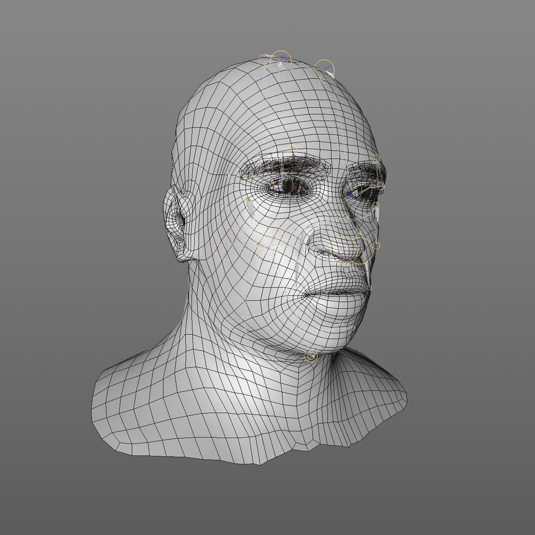 realistic head 45 year 3D model https://p.turbosquid.com/ts-thumb/6i/dWCBRS/OXpscCbb/45yrmidageafricanmanhead2_0011/jpg/1566350143/1920x1080/fit_q87/9d86460975e9561e53de98ff034c9acffb7ee618/45yrmidageafricanmanhead2_0011.jpg