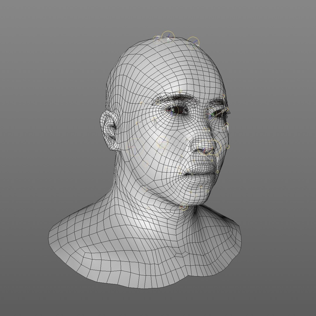 realistic head 45 year 3D model https://p.turbosquid.com/ts-thumb/6i/dWCBRS/R0qGj2m1/45yrmidageasianmanhead2_0011/jpg/1566350210/1920x1080/fit_q87/63b2c4ad16253bcd762a59bdfee73134ee14c0c8/45yrmidageasianmanhead2_0011.jpg