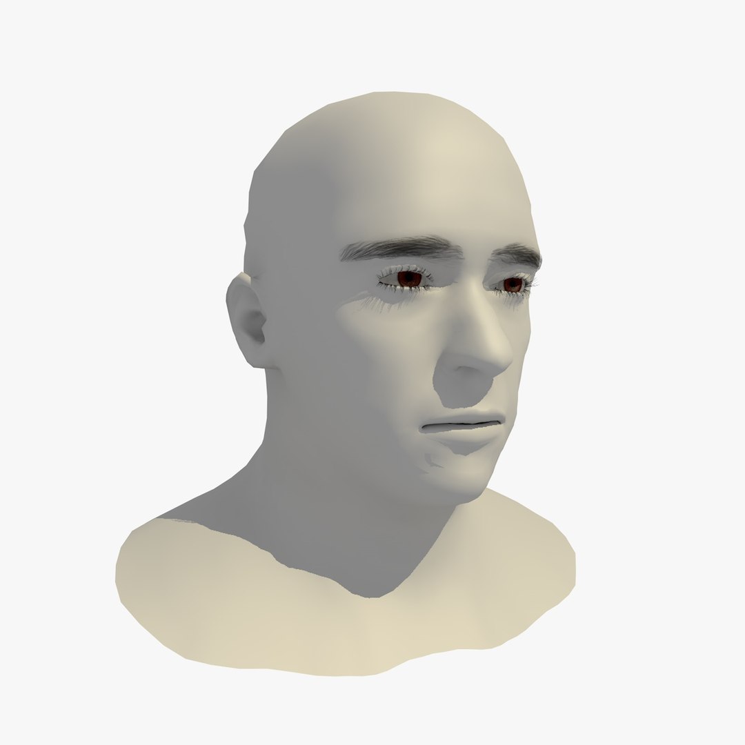 realistic head 45 year 3D model https://p.turbosquid.com/ts-thumb/6i/dWCBRS/XRlDDoKj/45yrmidageeuroman1_0011/jpg/1566350265/1920x1080/fit_q87/0441bc76a8c4dd0d86f3015cb1551e96ea767a42/45yrmidageeuroman1_0011.jpg