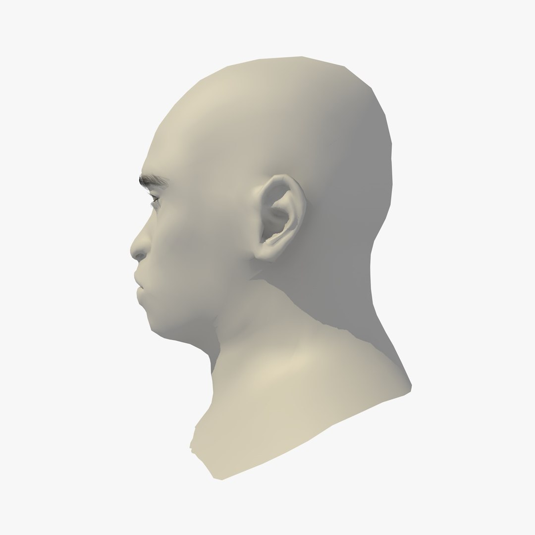 realistic head 45 year 3D model https://p.turbosquid.com/ts-thumb/6i/dWCBRS/aHRpnawA/45yrmidageafricanmanhead1_0003/jpg/1566350140/1920x1080/fit_q87/4fe65f32bd0b9f834754a5fb84524841e9570f1a/45yrmidageafricanmanhead1_0003.jpg