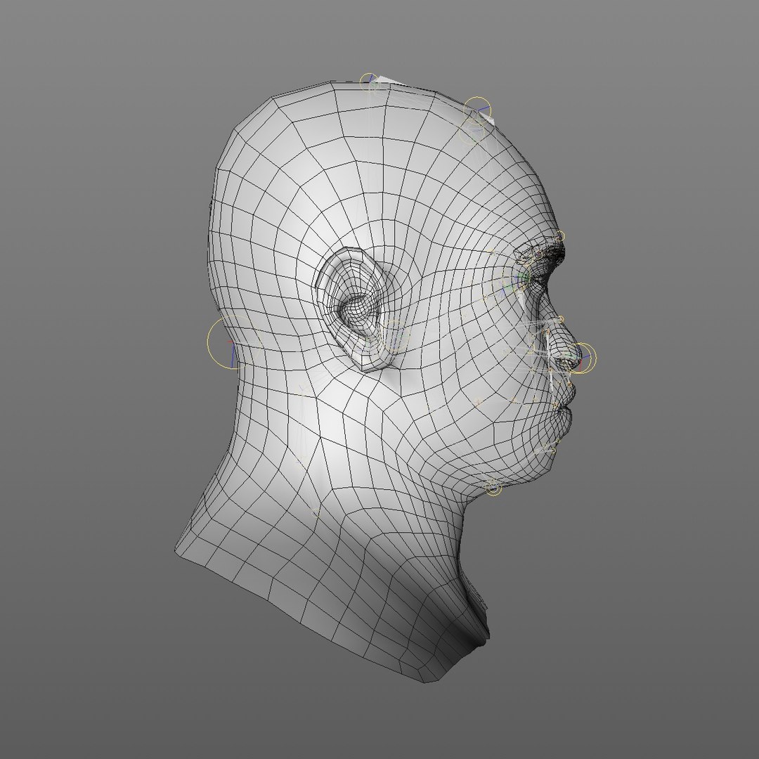 realistic head 45 year 3D model https://p.turbosquid.com/ts-thumb/6i/dWCBRS/aW5s1bLK/45yrmidageafricanmanhead2_0009/jpg/1566350143/1920x1080/fit_q87/cdc2cbef071c0e17cd24cb5ee7c2c9f6827ebbc1/45yrmidageafricanmanhead2_0009.jpg