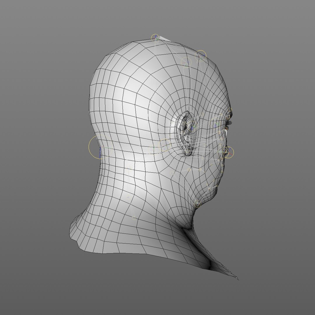 realistic head 45 year 3D model https://p.turbosquid.com/ts-thumb/6i/dWCBRS/aW7oIcQx/45yrmidageeuroman2_0008/jpg/1566350266/1920x1080/fit_q87/56b78d6c4cb10ec78c6b188d80f5a07620ea13e9/45yrmidageeuroman2_0008.jpg