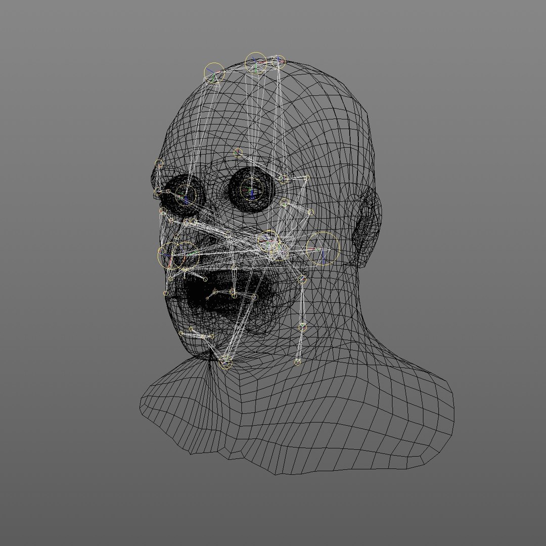 realistic head 45 year 3D model https://p.turbosquid.com/ts-thumb/6i/dWCBRS/ayTje7pj/45yrmidageafricanmanhead2_0012/jpg/1566350143/1920x1080/fit_q87/fb042a71719f25926550740f86b570af4d5ab868/45yrmidageafricanmanhead2_0012.jpg
