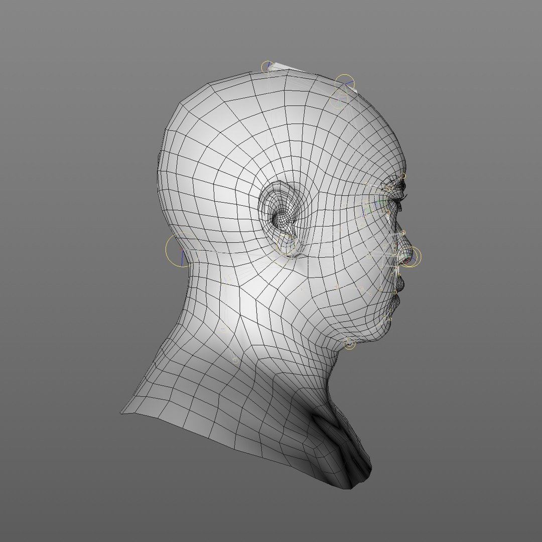 realistic head 45 year 3D model https://p.turbosquid.com/ts-thumb/6i/dWCBRS/bXGxBcUY/45yrmidageasianmanhead2_0009/jpg/1566350210/1920x1080/fit_q87/5129ae82e18cf13aa24b9f133b60134bb17b33cc/45yrmidageasianmanhead2_0009.jpg