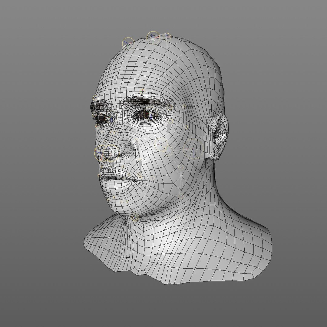 realistic head 45 year 3D model https://p.turbosquid.com/ts-thumb/6i/dWCBRS/bfVH9LEV/45yrmidageafricanmanhead2_0001/jpg/1566350142/1920x1080/fit_q87/c8cb5a8715da8205322e34a302d44813a5e60a10/45yrmidageafricanmanhead2_0001.jpg