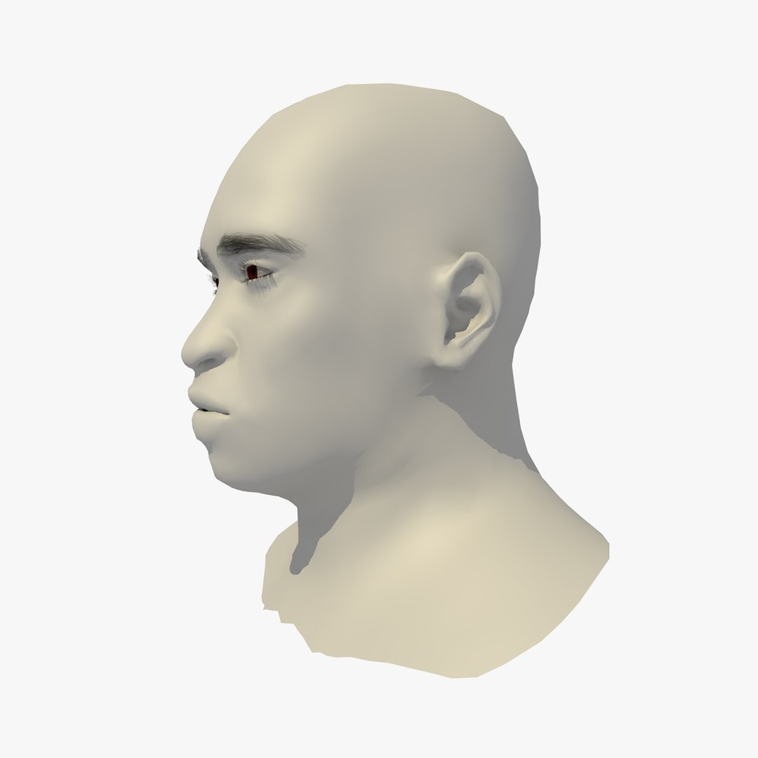 realistic head 45 year 3D model https://p.turbosquid.com/ts-thumb/6i/dWCBRS/cETjN7ge/45yrmidageafricanmanhead1_0002/jpg/1566350140/1920x1080/fit_q87/c1e4bd324085616b3f59ab36dcd3faf320f59514/45yrmidageafricanmanhead1_0002.jpg