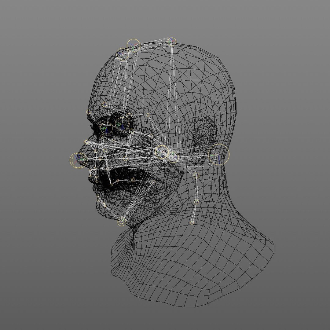 realistic head 45 year 3D model https://p.turbosquid.com/ts-thumb/6i/dWCBRS/f04Usqia/45yrmidageeuroman2_0013/jpg/1566350267/1920x1080/fit_q87/0b0fb0fb8d251fafc7e7a32918a09f1f71977a6c/45yrmidageeuroman2_0013.jpg