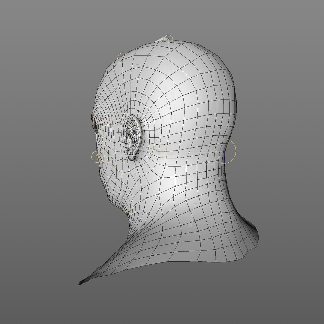 realistic head 45 year 3D model https://p.turbosquid.com/ts-thumb/6i/dWCBRS/jYuQKckW/45yrmidageeuroman2_0004/jpg/1566350266/1920x1080/fit_q87/5e2a670685f7036dcbf5808ae49ec1c532c57081/45yrmidageeuroman2_0004.jpg