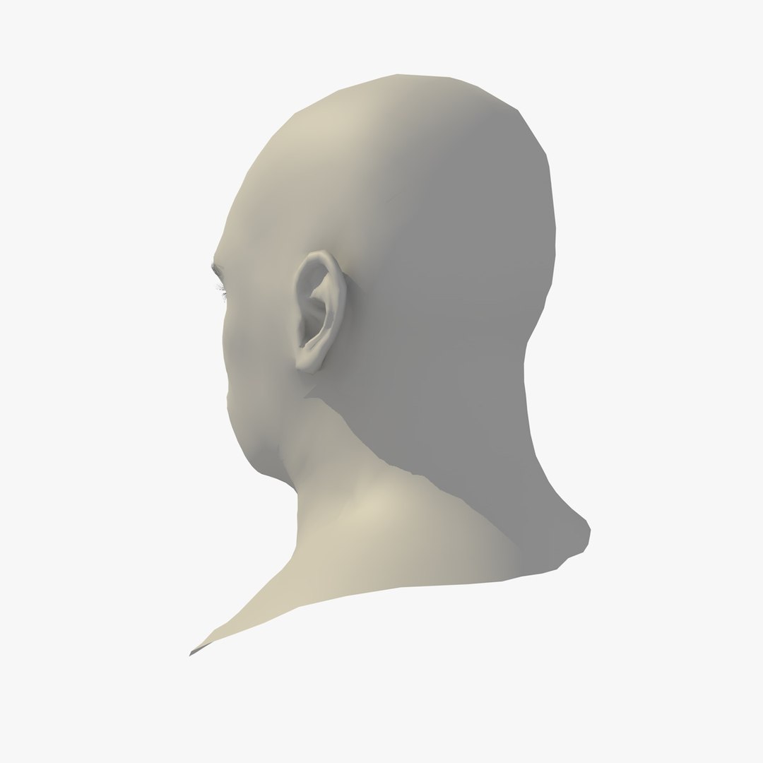 realistic head 45 year 3D model https://p.turbosquid.com/ts-thumb/6i/dWCBRS/kWGt7oeC/45yrmidageafricanmanhead1_0004/jpg/1566350140/1920x1080/fit_q87/58c48ff178f1227bf6b5a0b3bdb25d1b501cf4fd/45yrmidageafricanmanhead1_0004.jpg