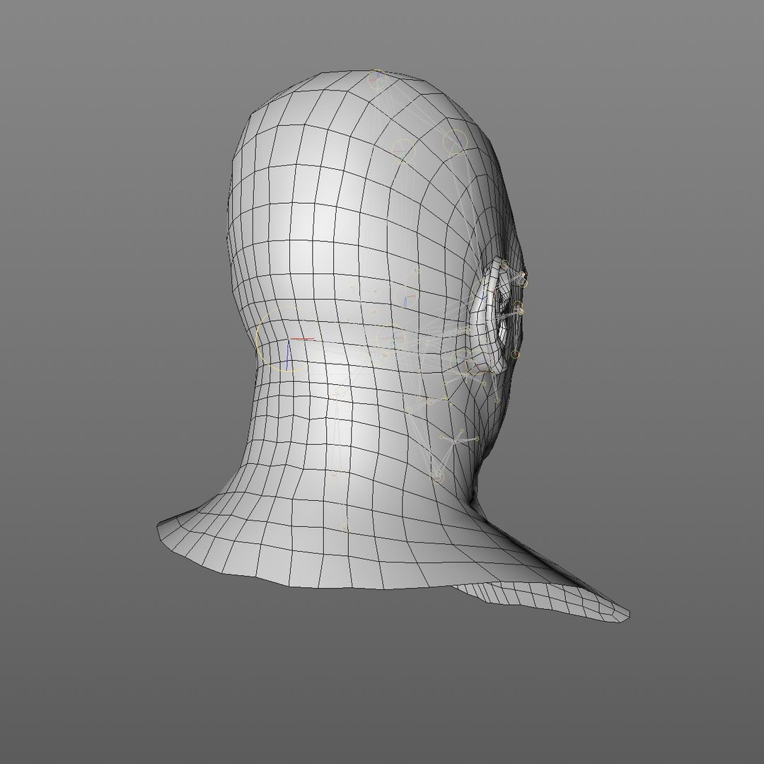 realistic head 45 year 3D model https://p.turbosquid.com/ts-thumb/6i/dWCBRS/tdhQsZhy/45yrmidageafricanmanhead2_0007/jpg/1566350142/1920x1080/fit_q87/22313cfb9d685f81308f0c02c62114eefc0ce770/45yrmidageafricanmanhead2_0007.jpg