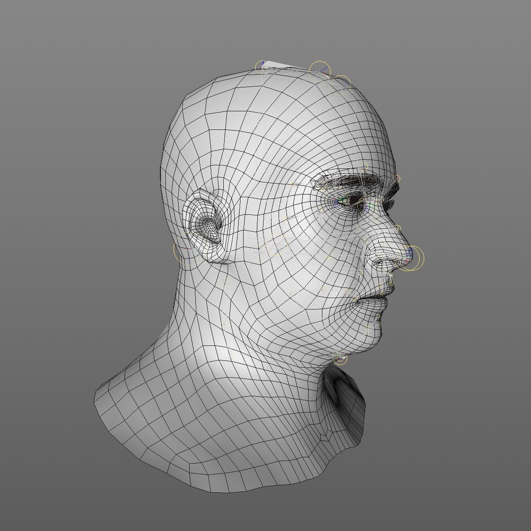 realistic head 45 year 3D model https://p.turbosquid.com/ts-thumb/6i/dWCBRS/w14bkd8p/45yrmidageeuroman2_0010/jpg/1566350267/1920x1080/fit_q87/f6c4affb5c2de6a649482e5bc8a4065ace18211e/45yrmidageeuroman2_0010.jpg