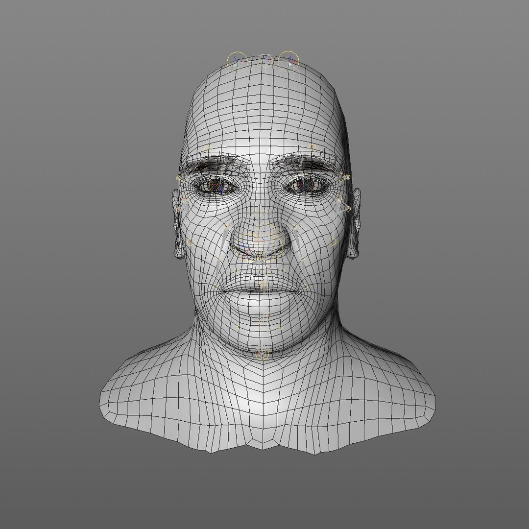 realistic head 45 year 3D model https://p.turbosquid.com/ts-thumb/6i/dWCBRS/xhkVxjg8/45yrmidageafricanmanhead2_0000/jpg/1566350142/1920x1080/fit_q87/06af91b0a8f208d1054ec3f8551ebed6415c821c/45yrmidageafricanmanhead2_0000.jpg
