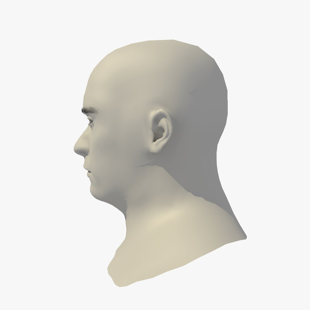 realistic head 45 year 3D model https://p.turbosquid.com/ts-thumb/6i/dWCBRS/xuRvfNAz/45yrmidageeuroman1_0003/jpg/1566350264/1920x1080/fit_q87/5991caebcf617d997fb0ed9b0b6f7f53e3d197e8/45yrmidageeuroman1_0003.jpg