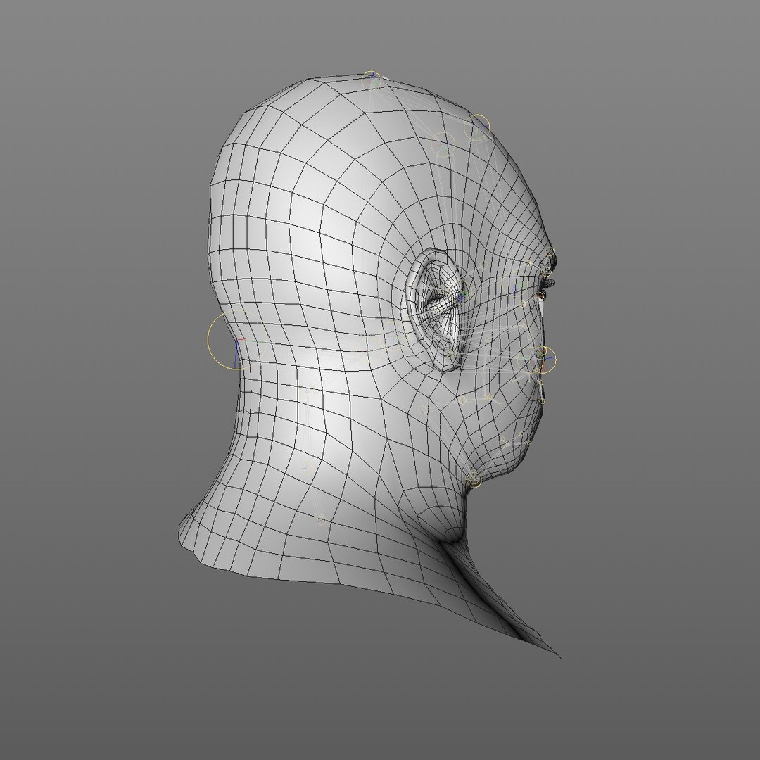 realistic head 45 year 3D model https://p.turbosquid.com/ts-thumb/6i/dWCBRS/z24j0a5W/45yrmidageafricanmanhead2_0008/jpg/1566350142/1920x1080/fit_q87/a1cce9015c3d44367b1e4056dc8b1a5883e35b0c/45yrmidageafricanmanhead2_0008.jpg