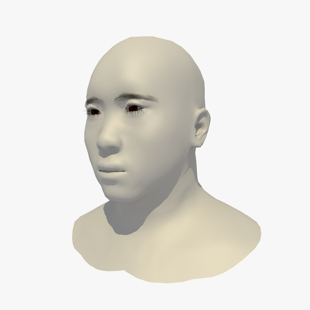 realistic head 45 year 3D model https://p.turbosquid.com/ts-thumb/6i/dWCBRS/zMjO1S8F/45yrmidageasianmanhead1_0001/jpg/1566350207/1920x1080/fit_q87/22b73d1af6c953b68fa72a2bba5af19b5ff8ec5f/45yrmidageasianmanhead1_0001.jpg
