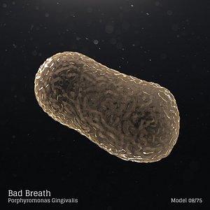 microbes bacteria 3D