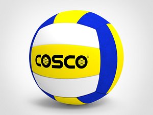 Volleyball