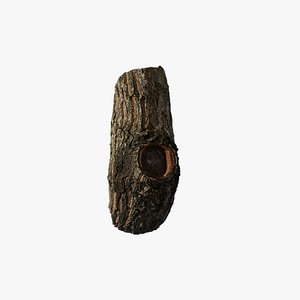 3D Anydrafts Acer palmatum Burl 02