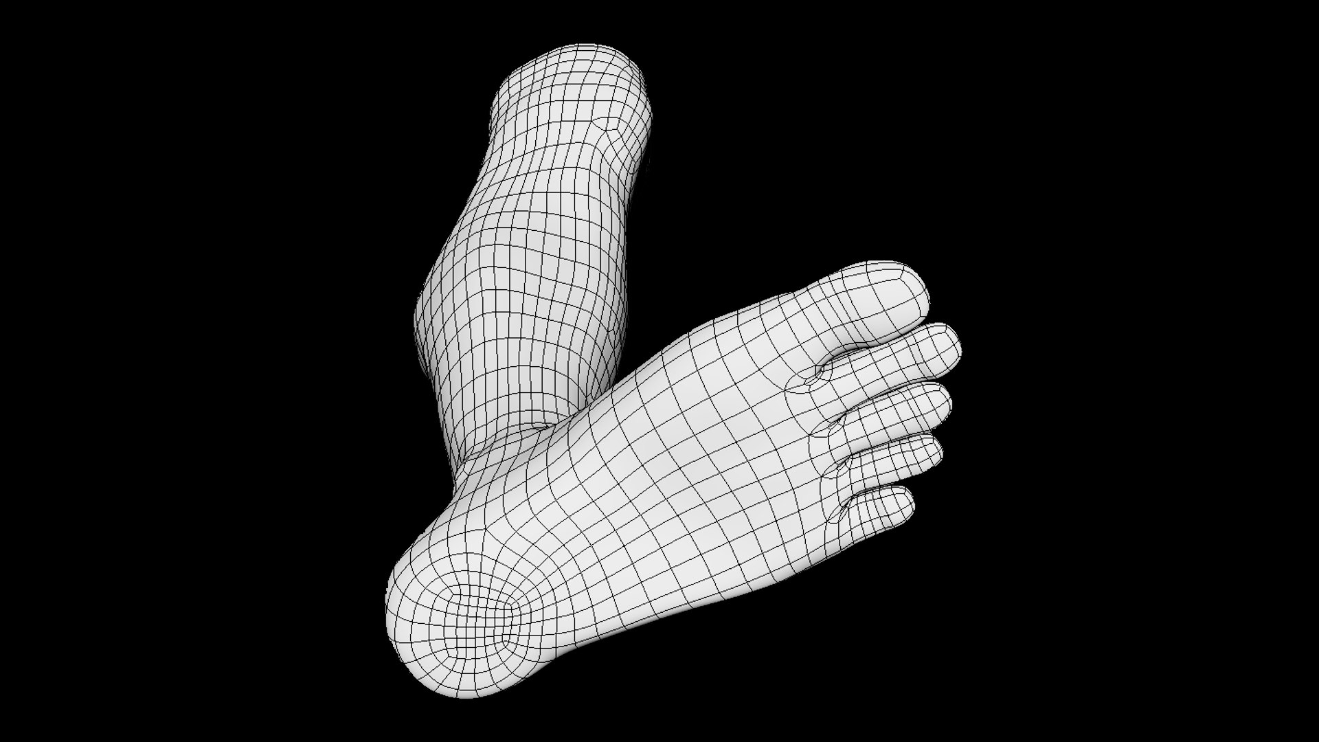 3D Model Human Leg - TurboSquid 2391524