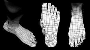 3D model Human Leg