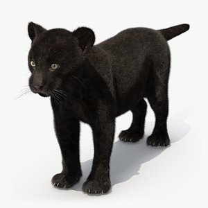 3D Panther Cub Fur for Maya model