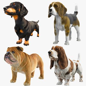 Dogs Collection 3D model