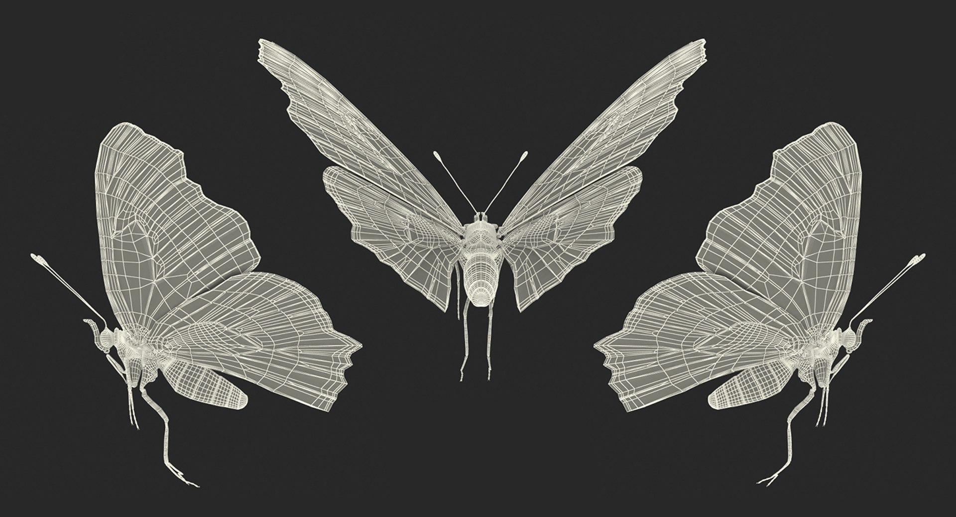 3D Peacock Butterfly Flying Pose - TurboSquid 1190647