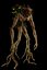Forest Imp Creature