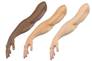 Customizable Rigged Arm Hand Cartoon