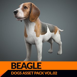 model of s dog beagle real-time