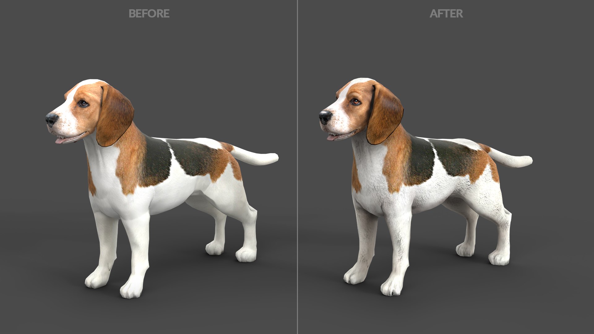 model of s dog beagle real-time https://p.turbosquid.com/ts-thumb/6k/5j4T3F/Oq/shepherdstaticset1920x10800201beaglegrey/jpg/1773149057/1920x1080/fit_q87/3fe032872efcdcbb0c497714779a0571135d86c9/shepherdstaticset1920x10800201beaglegrey.jpg