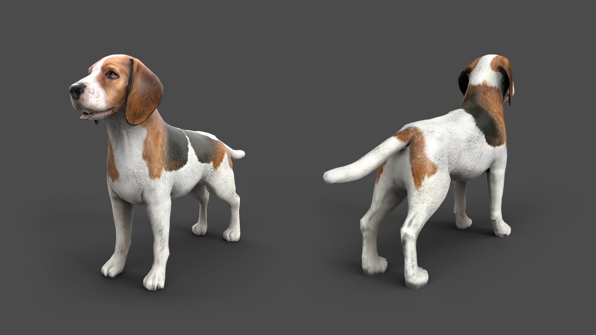 model of s dog beagle real-time https://p.turbosquid.com/ts-thumb/6k/5j4T3F/U7/shepherdstaticset1920x10800202beaglegrey/jpg/1773149057/1920x1080/fit_q87/e6ec778cfcca8942a2f0d5cad96ee26b44d7f060/shepherdstaticset1920x10800202beaglegrey.jpg