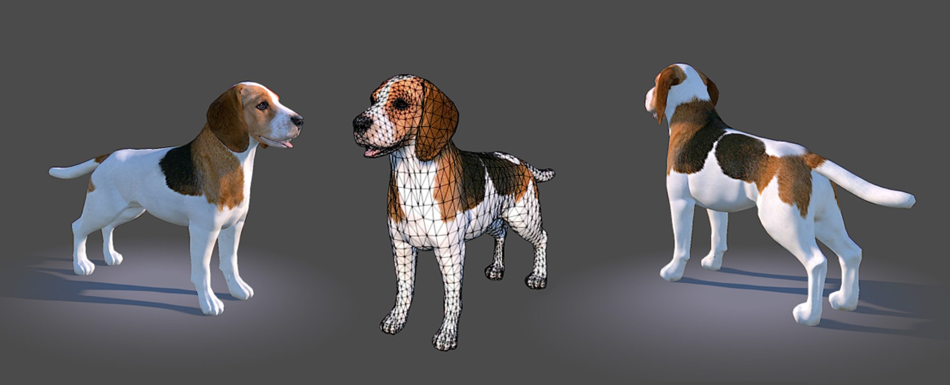 model of s dog beagle real-time https://p.turbosquid.com/ts-thumb/6k/5j4T3F/bopd1taB/beaglpreview03/jpg/1378808518/1920x1080/fit_q87/b5002a4d4eb7ce73d541c48cbaea4ec6c14562f8/beaglpreview03.jpg