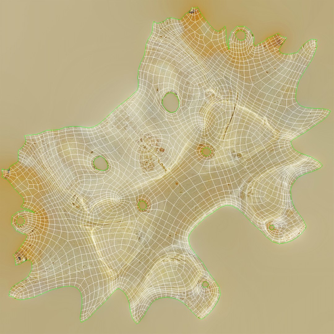 domestic pig sus domesticus 3D model https://p.turbosquid.com/ts-thumb/6k/918PuY/qwlQuDuT/domestic_pig_sus_domesticus_cervical_vertebrae_c1_atlas_01_wuv/jpg/1591097090/1920x1080/fit_q87/4acbd3e793632f59c48cfbe11ecbe0b8298247e7/domestic_pig_sus_domesticus_cervical_vertebrae_c1_atlas_01_wuv.jpg