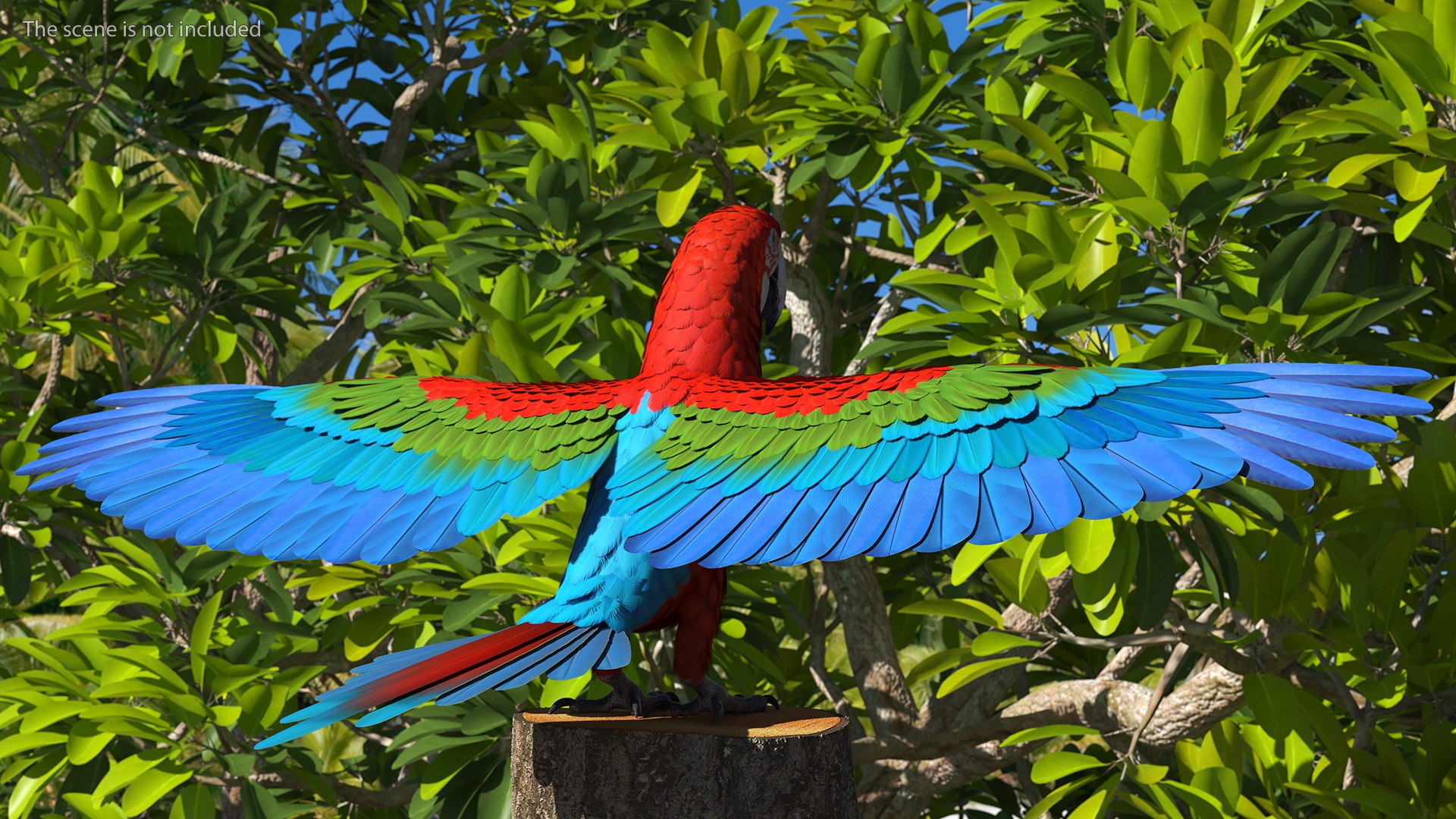 Red and Green Macaw Parrot Rigged 3D model https://p.turbosquid.com/ts-thumb/6k/9GbNJ4/2i/redandgreenmacawparrotrigged3dsmodel005/jpg/1629404761/1920x1080/fit_q87/20702313ef149b06ee89d9b723d9ac317bb305d8/redandgreenmacawparrotrigged3dsmodel005.jpg