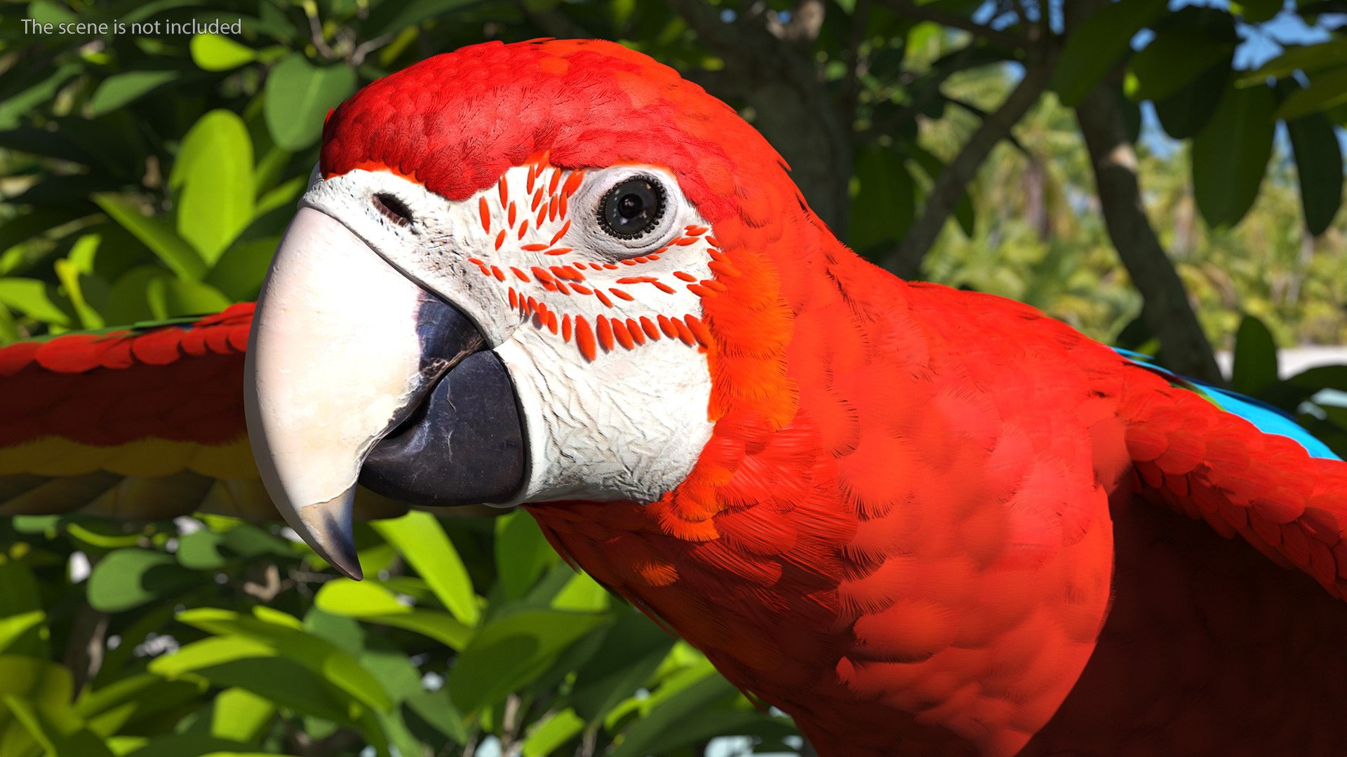 Red and Green Macaw Parrot Rigged 3D model https://p.turbosquid.com/ts-thumb/6k/9GbNJ4/3S/redandgreenmacawparrotrigged3dsmodel009/jpg/1629404773/1920x1080/fit_q87/c22e78f47bb536616785d761bcb9d8b1c14fcbd7/redandgreenmacawparrotrigged3dsmodel009.jpg