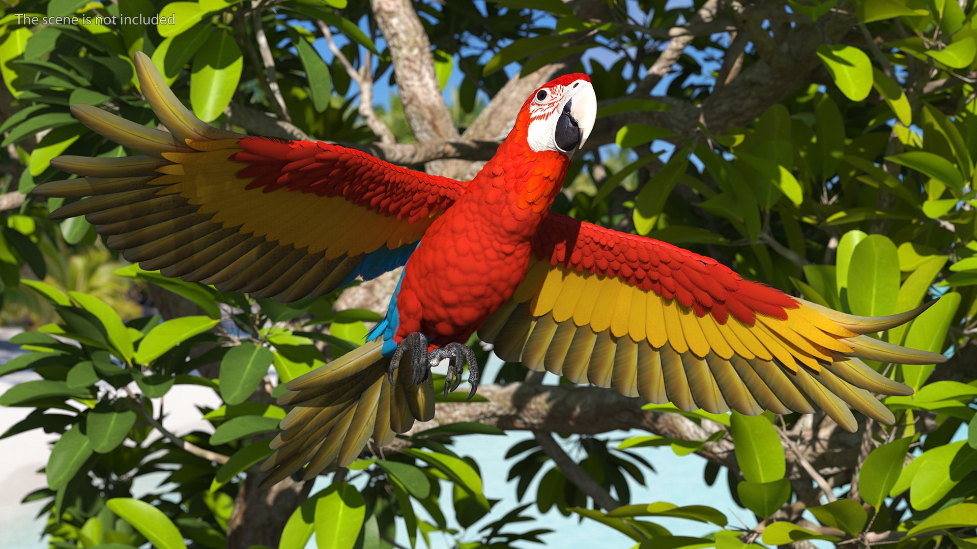 Red and Green Macaw Parrot Rigged 3D model https://p.turbosquid.com/ts-thumb/6k/9GbNJ4/41/redandgreenmacawparrotrigged3dsmodel006/jpg/1629404765/1920x1080/fit_q87/1131b2f585b1bf91921271f8c92f5ac5d59f2d0c/redandgreenmacawparrotrigged3dsmodel006.jpg