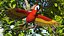 Perroquet ara rouge et vert truqué