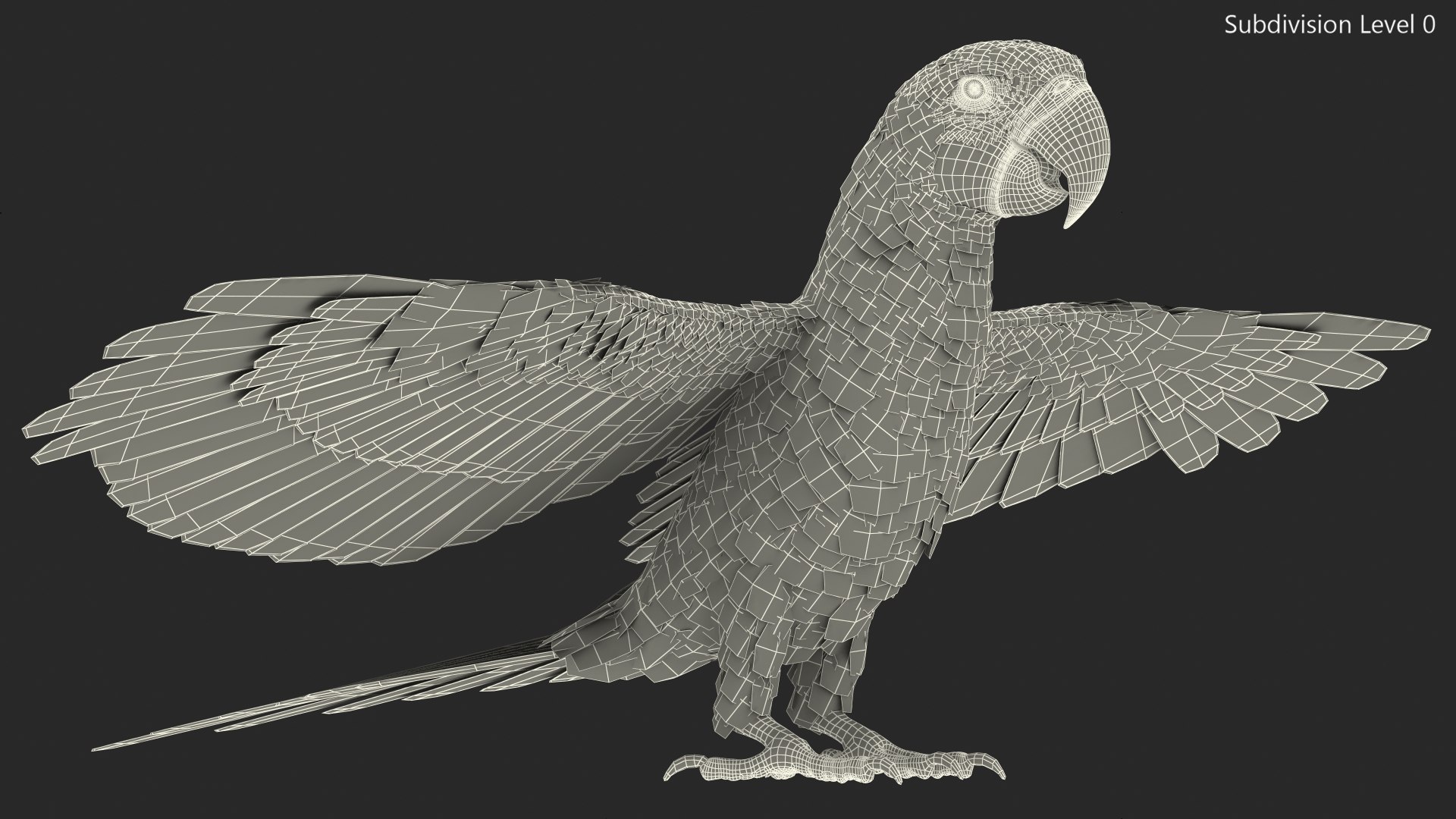 Red and Green Macaw Parrot Rigged 3D model https://p.turbosquid.com/ts-thumb/6k/9GbNJ4/8o/redandgreenmacawparrotrigged3dsmodel033/jpg/1629404833/1920x1080/fit_q87/dabd9286f0d5f2f34eee593d3685a03521bb75bd/redandgreenmacawparrotrigged3dsmodel033.jpg