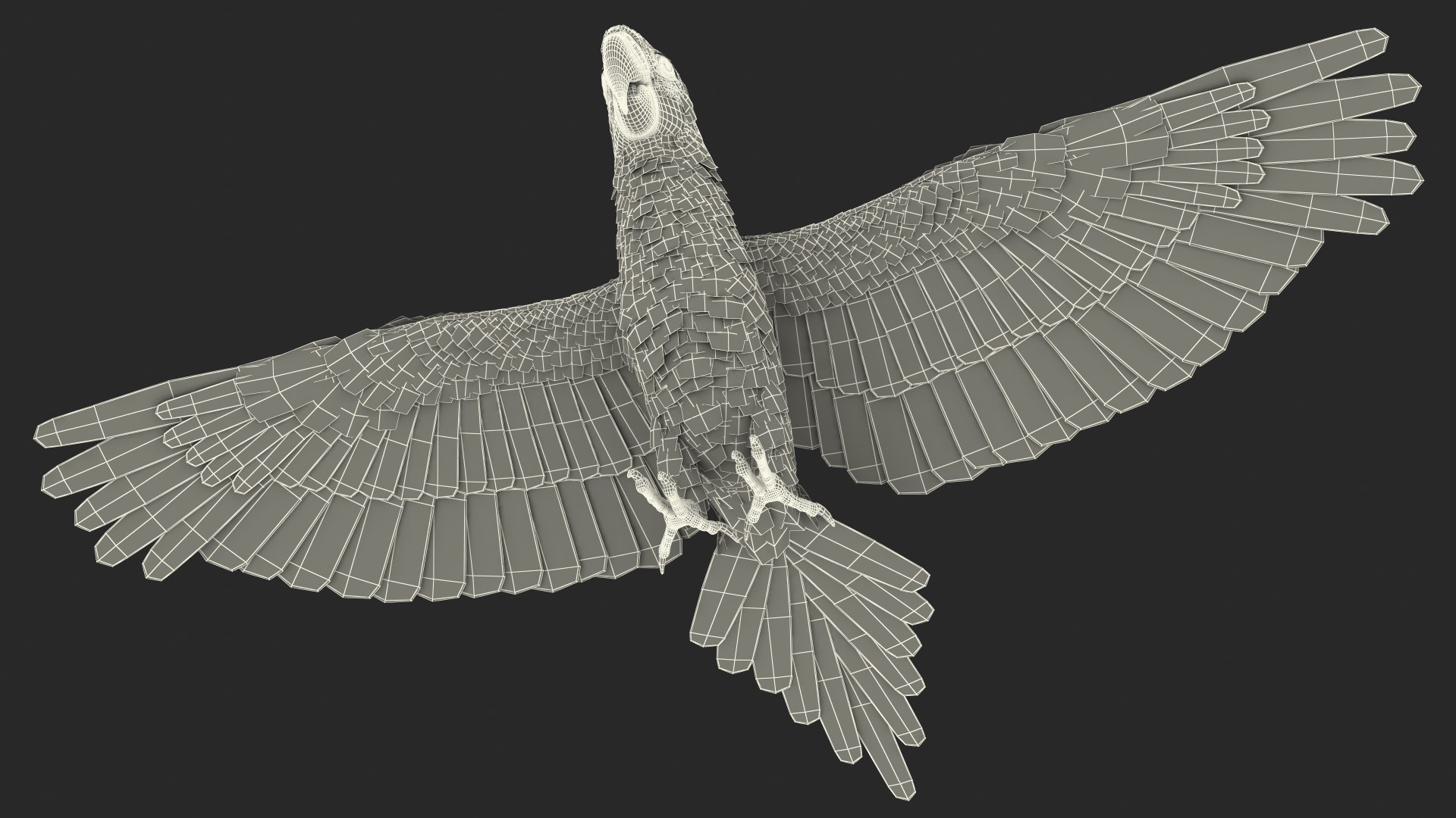 Red and Green Macaw Parrot Rigged 3D model https://p.turbosquid.com/ts-thumb/6k/9GbNJ4/Ay/redandgreenmacawparrotrigged3dsmodel041/jpg/1629404855/1920x1080/fit_q87/673c7e491e76cc0a5857c77cb4e5e2be7700d4fd/redandgreenmacawparrotrigged3dsmodel041.jpg