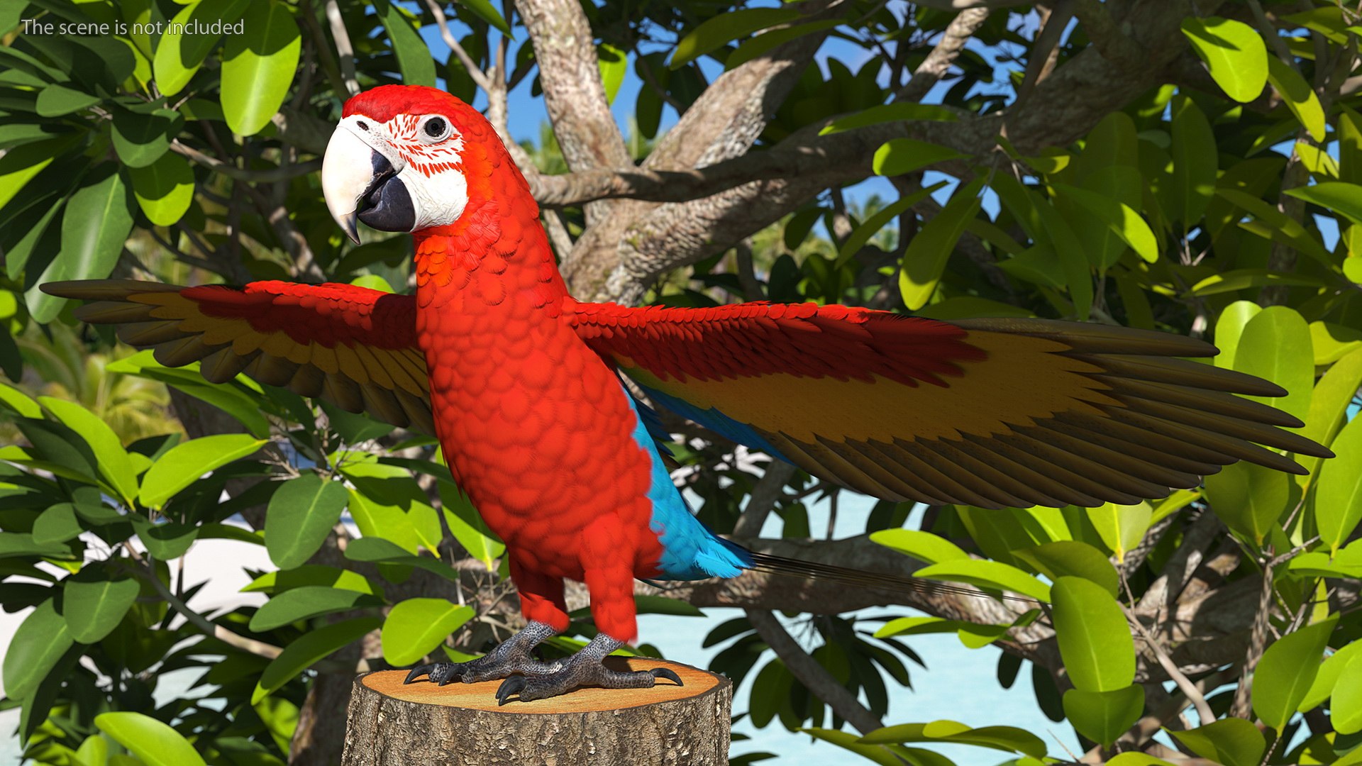 Red and Green Macaw Parrot Rigged 3D model https://p.turbosquid.com/ts-thumb/6k/9GbNJ4/G6/redandgreenmacawparrotrigged3dsmodel004/jpg/1629404758/1920x1080/fit_q87/7e25f1d33206906e2b40004703bfead685b934fa/redandgreenmacawparrotrigged3dsmodel004.jpg