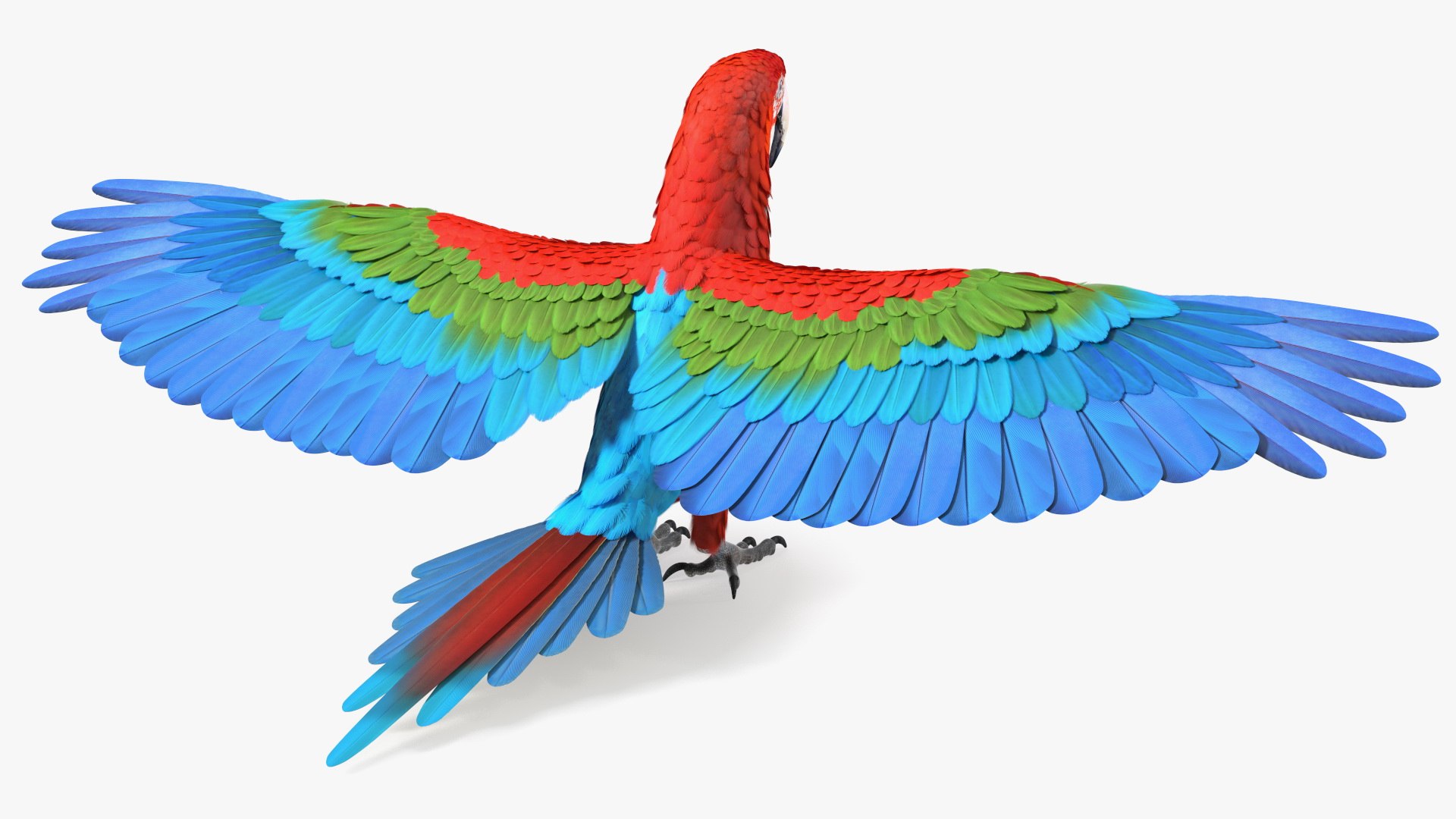 Red and Green Macaw Parrot Rigged 3D model https://p.turbosquid.com/ts-thumb/6k/9GbNJ4/IE/redandgreenmacawparrotrigged3dsmodel023/jpg/1629404808/1920x1080/fit_q87/499b40e45e537a28def9b1f65168ad81b982563f/redandgreenmacawparrotrigged3dsmodel023.jpg