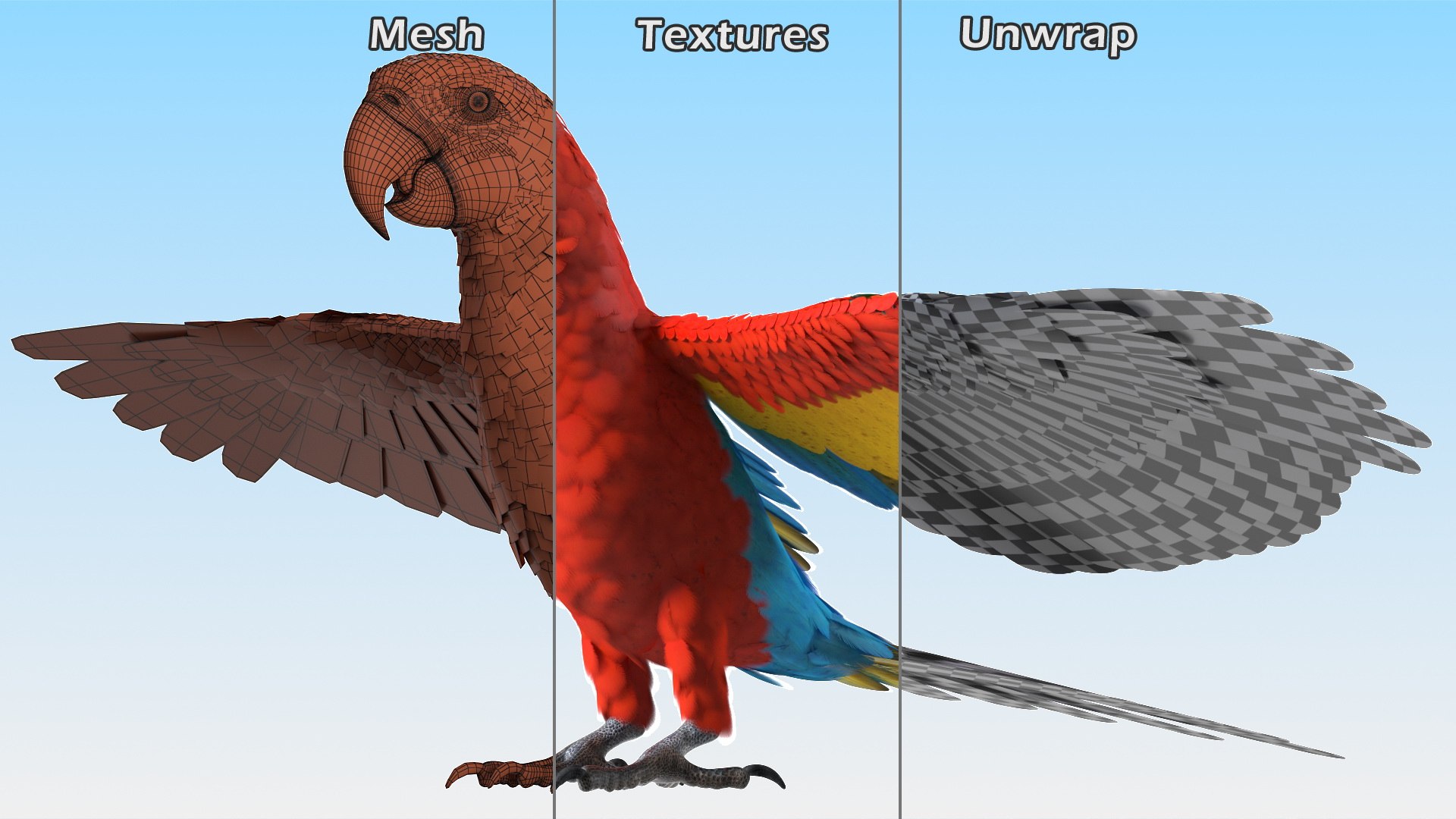 Red and Green Macaw Parrot Rigged 3D model https://p.turbosquid.com/ts-thumb/6k/9GbNJ4/RG/redandgreenmacawparrotrigged3dsmodel032/jpg/1629404830/1920x1080/fit_q87/50ab686296835fd623ea1c9f00a6d8ea9189f662/redandgreenmacawparrotrigged3dsmodel032.jpg