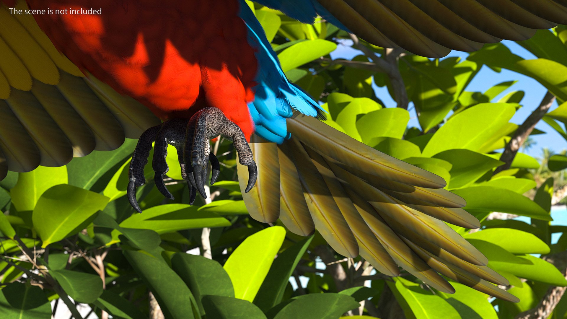 Red and Green Macaw Parrot Rigged 3D model https://p.turbosquid.com/ts-thumb/6k/9GbNJ4/ZU/redandgreenmacawparrotrigged3dsmodel013/jpg/1629404786/1920x1080/fit_q87/5851f183c30bd0b4354a76d98f3bc81309caba3d/redandgreenmacawparrotrigged3dsmodel013.jpg