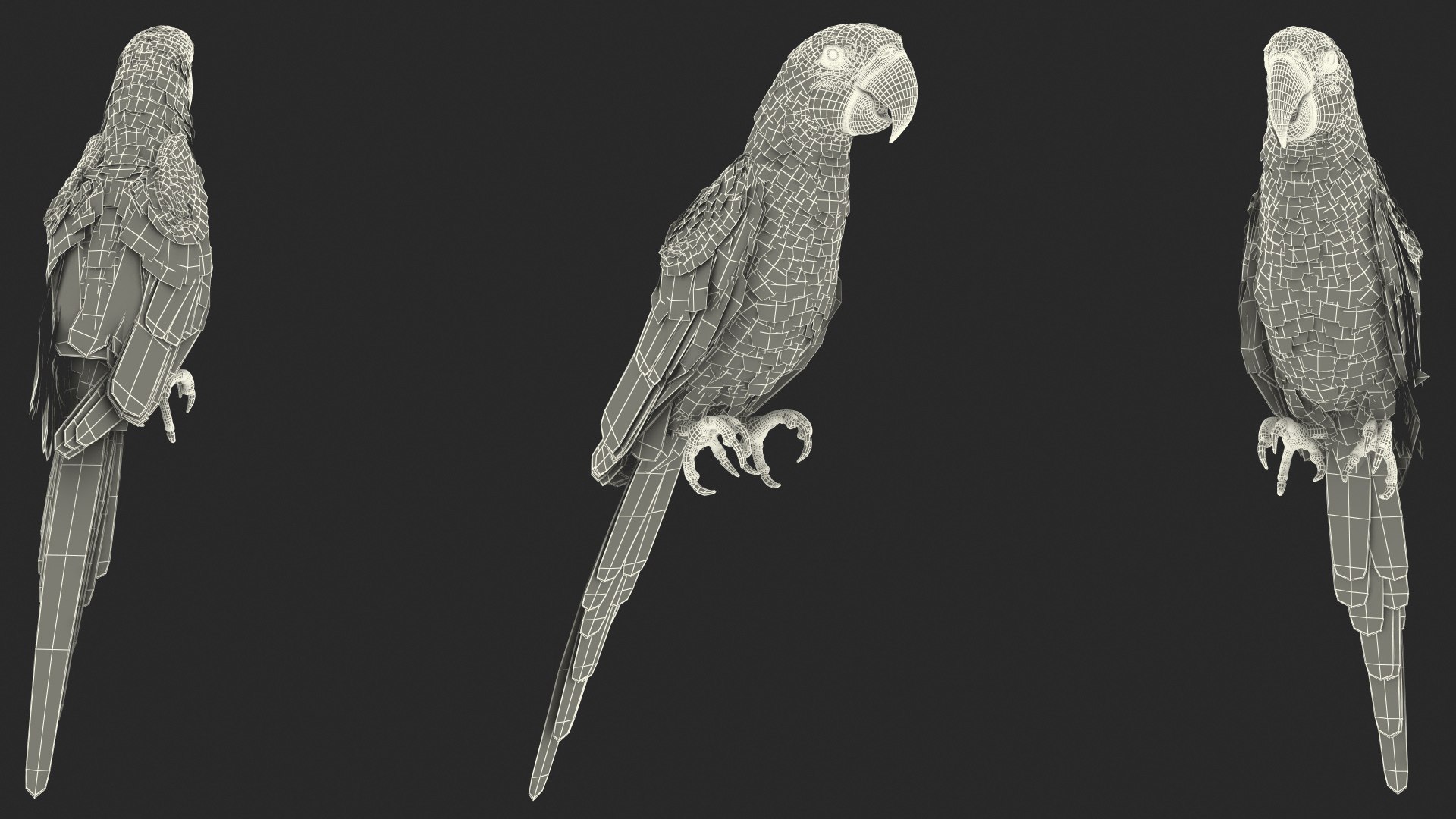 Red and Green Macaw Parrot Rigged 3D model https://p.turbosquid.com/ts-thumb/6k/9GbNJ4/ZW/redandgreenmacawparrotrigged3dsmodel039/jpg/1629404849/1920x1080/fit_q87/bf041a6d72277f02d33f8970fae0295f0736d31d/redandgreenmacawparrotrigged3dsmodel039.jpg